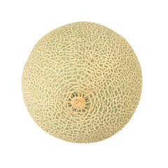 Cantaloupe Melon cutout, full depth of field.