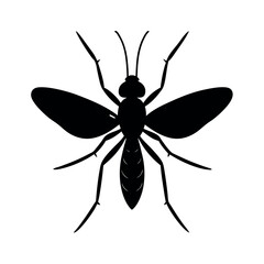 Damselfly vector silhouette