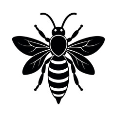 Cricket vector silhouette