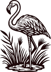 Vintage engraved flamingo standing in marsh reeds hand drawn black and white illustration