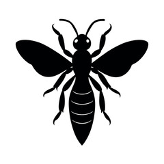 Leaf beetle vector silhouette