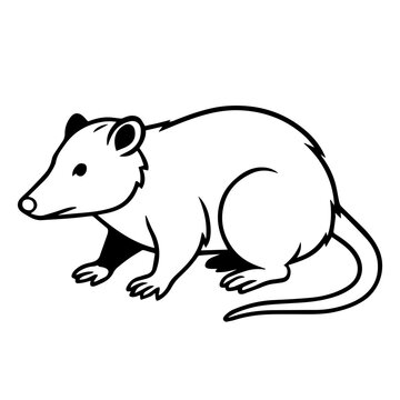 possum vector realistic line icon on white background
Vector line icon animal, wildlife
