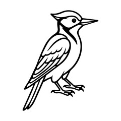 woodpecker vector realistic line icon on white background
Vector line icon animal, wildlife