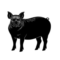 Fototapeta premium black silhouette of a boar on a transparent background black, boar, illustration, pig, silhouette , Generative art.