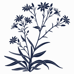 starwort with leaves