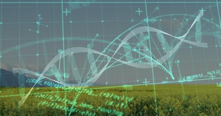 Opening meadow revealing grid and helix drifting right, molecular nodes and code showing crop data - Powered by Adobe