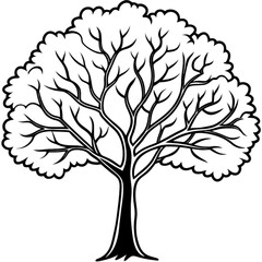 Fototapeta premium This vector silhouette illustration features a black and white tree with delicate leaves and branches, embodying the essence of nature and growth throughout the seasons