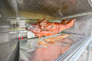 Barbecue with young pig grill Whole roasted piglet body turning on grill. Large barbecue in the process of cooking meat
