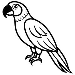 Fototapeta premium Vector illustration of a parrot on a branch, a colorful bird design symbolizing freedom in nature