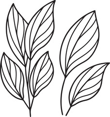 Aspidistra Leaf Vector in Flat Style with Smooth Edges for Spa Wellness and Indoor Nature Decor