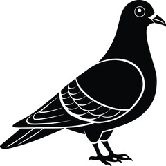 "Pigeon Silhouette Icon - Black Vector Illustration of Standing Dove Bird"