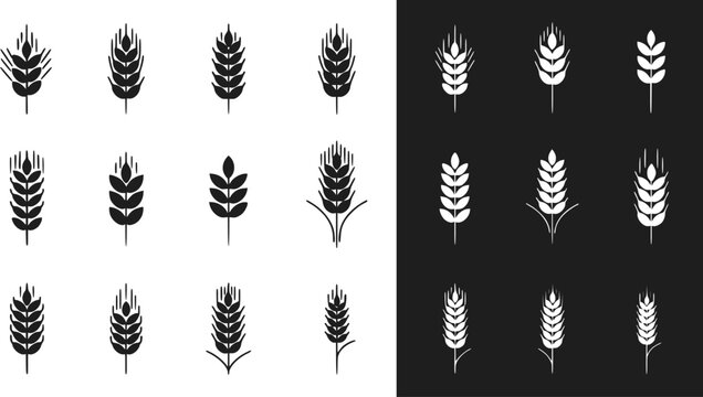 Wheat Icons Black and White Grain Agriculture Cereal Set of 16