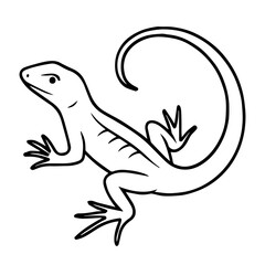 lizard vector realistic line icon on white background
Vector line icon animal, wildlife