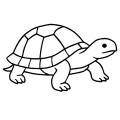 turtle vector realistic line icon on white background
Vector line icon animal, wildlife