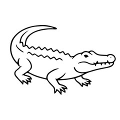 alligator vector realistic line icon on white background
Vector line icon animal, wildlife