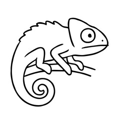 chameleon vector realistic line icon on white background
Vector line icon animal, wildlife