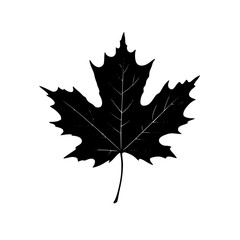 a black and white silhouette of a maple leaf black, icon, leaf, maple leaf, silhouette, style , Generative art.