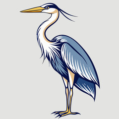 Obraz premium Great Blue Heron Bird Illustration, Vector Graphic