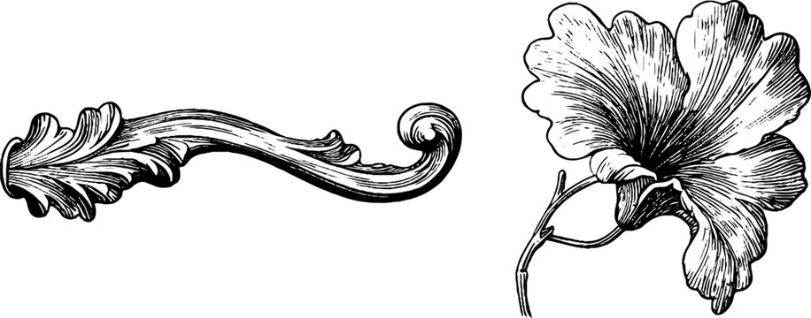 Art nouveau ornamental design elements featuring intricate floral and leaf motifs for decorative use