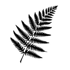 Naklejka premium a black and white silhouette of a leaf of a fern black, branch, fern, leaf, silhouette , Generative art.