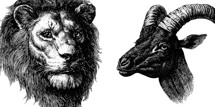 Engraved depiction of mythical chimera beast and lion for artistic design