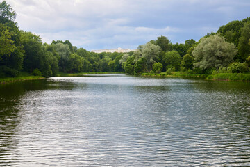 Pond in the botanical garden. The time of the year is summer