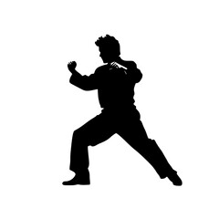 a black silhouette of a karateka on a transparent background black, man, silhouette , Generative art.