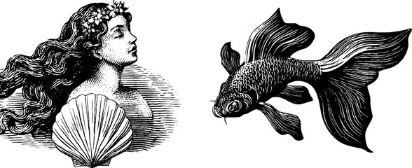 Engraved mermaid and fish tail illustration for nautical design and decor