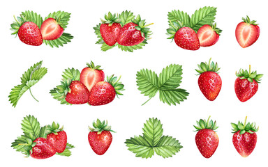 Hand drawn watercolor vivid illustrations of strawberries with green leaves