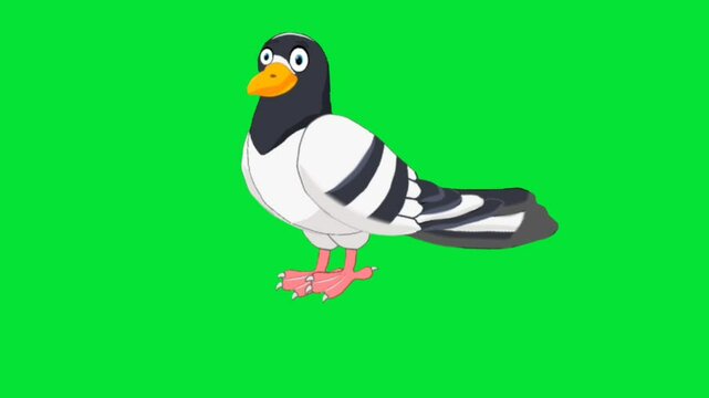 2D Animation of a dove talking in Place with Movement (Looping) on a Green Screen Background