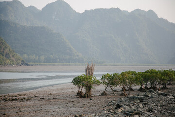 Low tide on the beach at sunset, Ha long bay, Vietnam