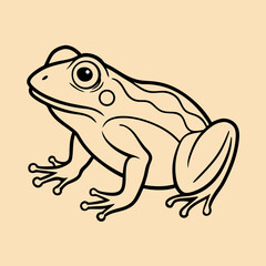 Line Art Drawing of a Frog, Amphibian Illustration