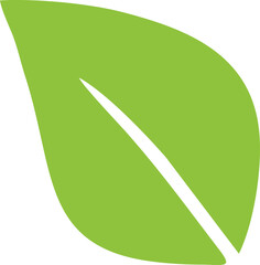 grean leaf or leaves