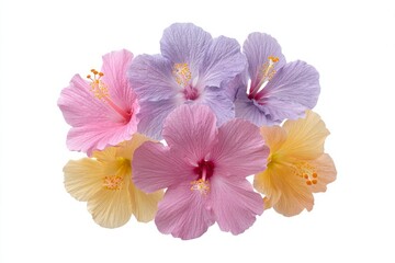 Colorful hibiscus blossoms form a vibrant tapestry, evoking Hawaiian Lei Day and the whimsical spirit of Lunar New Year