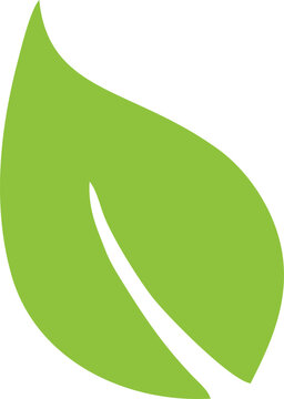 grean leaf or leaves