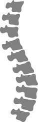 shape of spine vector in grey and red 