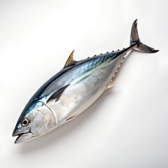 Fresh Whole Tuna Fish Isolated on White Background &ndash; 8K Ultra HD