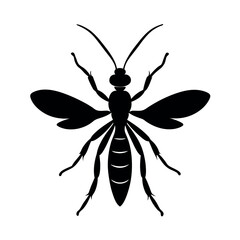 Ichneumon Wasp Silhouette Vector Illustration