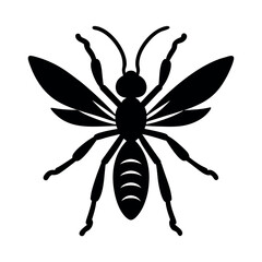 Spider Wasp Silhouette Vector Illustration