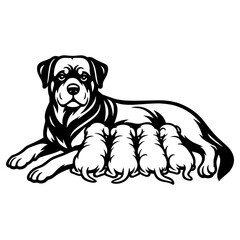 Fototapeta premium Black and white vector clipart of rottweiler dog mom nursing puppies, bold line drawing