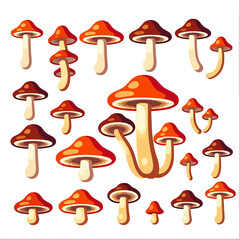 Illustration of Various Mushrooms - Red and Brown Toadstools - Edible and Poisonous Fungi Art - Forest Floor Delights - Botanical Mushroom Collection - Wild Mushroom Varieties