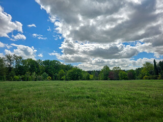 Sunlit Landscape Nature s Harmony