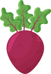 Fresh Beet with Top Leaf Isolated on White Background Illustration. Organic Food for Cooking