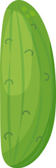 Fresh cucumber vegetable isolated icon. cucumber for farm market, vegetarian salad recipe design.