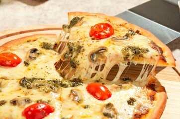 Spanish-style pizza with mozzarella