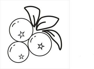 blueberry fruits icon vector illustration