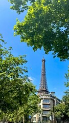 The Eiffel Tower stands tall against a clear blue sky, framed by vibrant green trees, with a Parisian building below.
