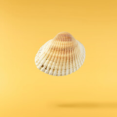 Colorful Seashells falling in the air isolated on yellow background. Summer time concept.