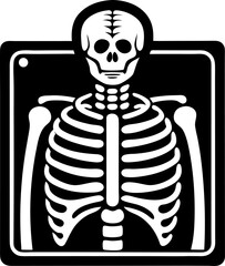 X-ray  vector white background vector line art black and white ,  white background  
