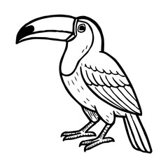 toucan vector realistic line icon on white background
Vector line icon animal, wildlife